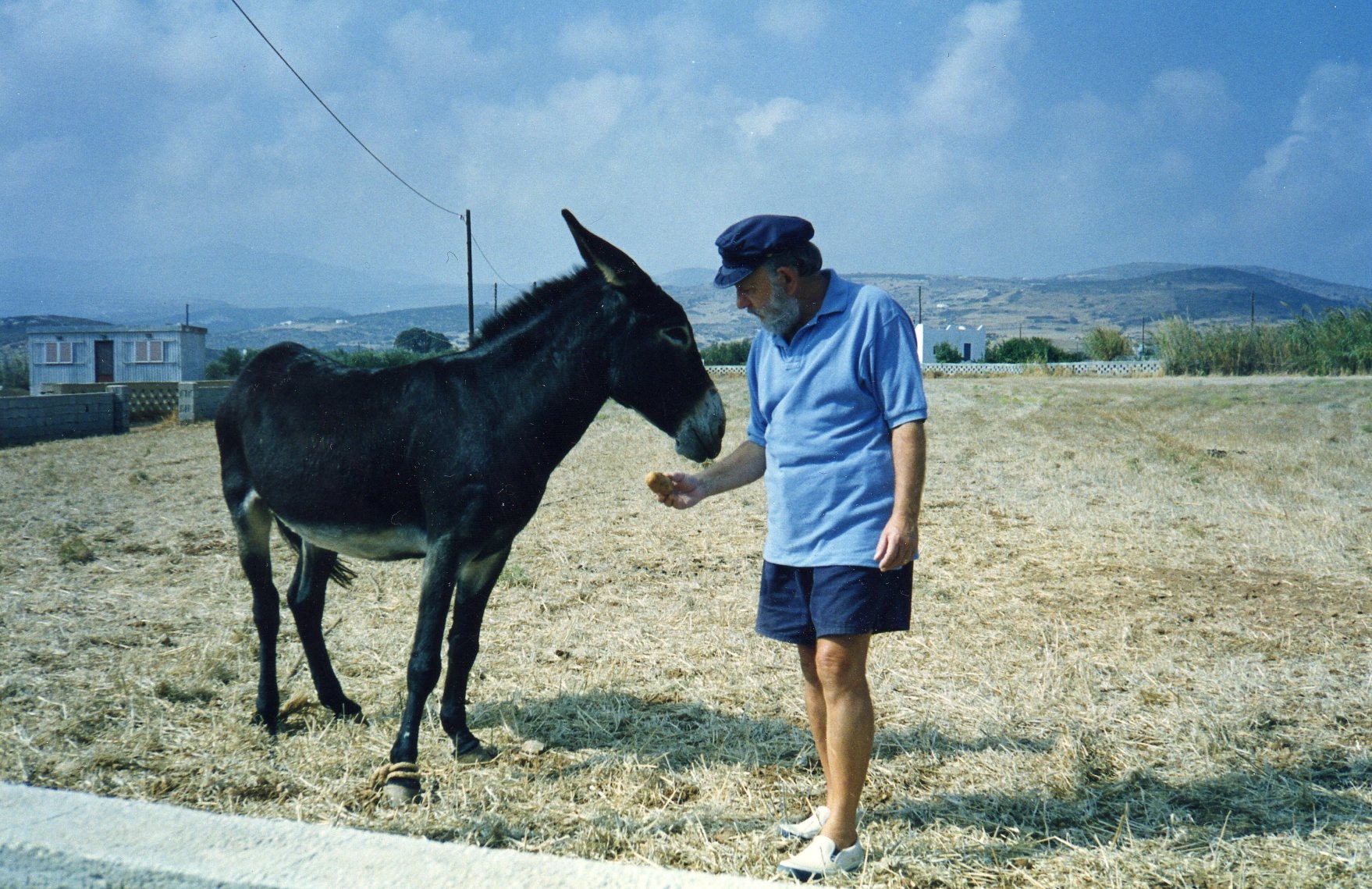 Σαν τον συγγραφέα τη ζωή