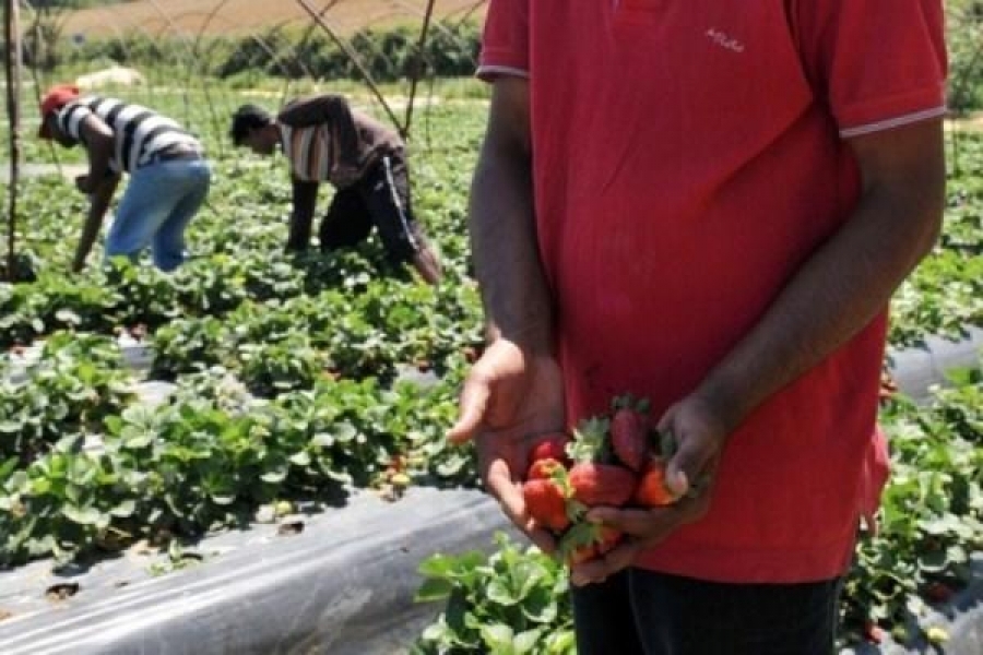 Τρεις λόγοι για τους οποίους οι προσωρινές άδειες εργασίας για τους παράτυπους μετανάστες είναι θετική εξέλιξη - 2